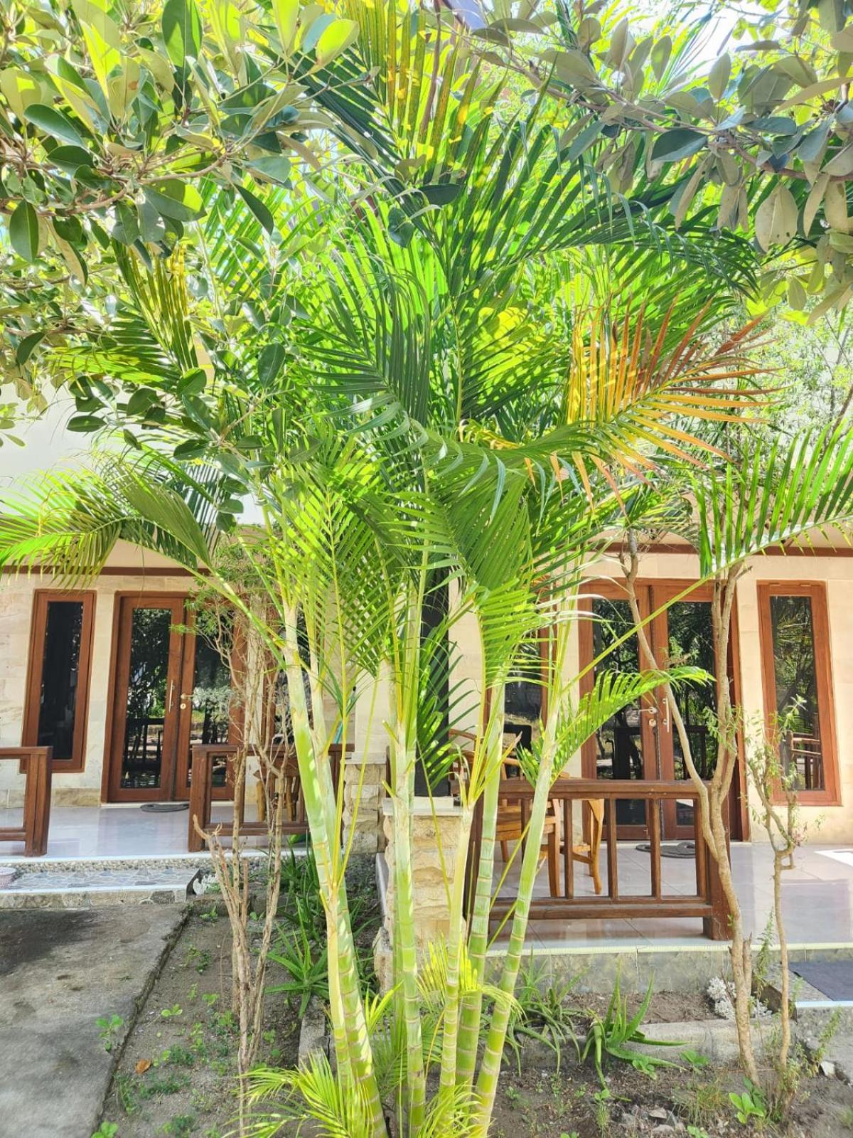 Apartamento Run Gilis Gili Meno Exterior foto